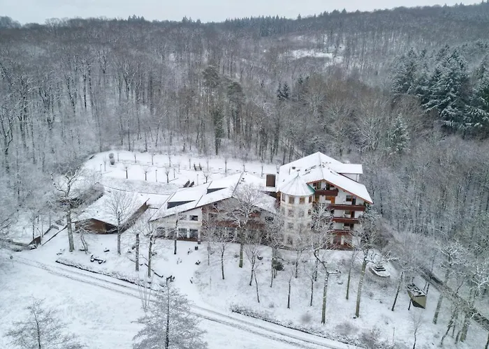 Hotel-restaurant Kreuzberghof Tagungs- Und Veranstaltungshotel Tiefenbach (Heilbronn)